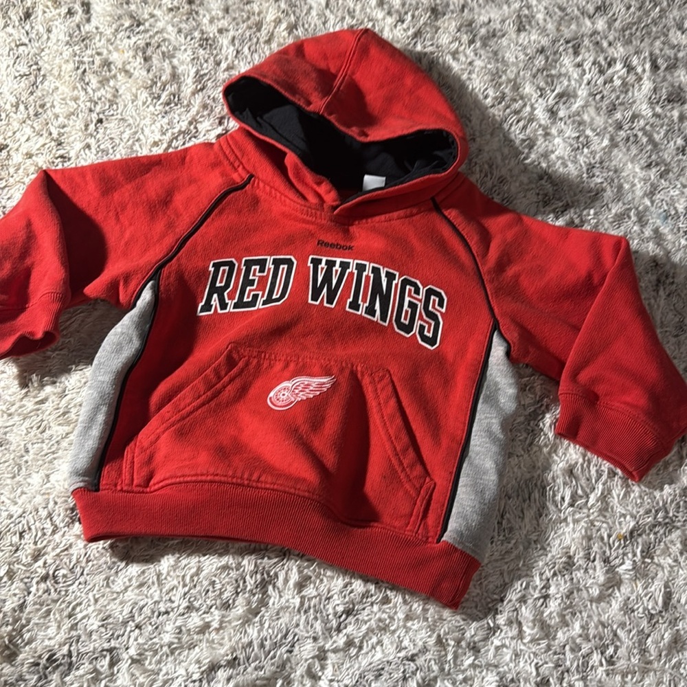 🍄3T Kids Red Black and Grey Red Wings Hoodie black lining GUC